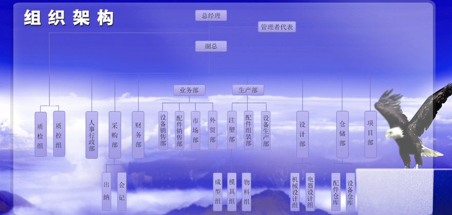 組織結(jié)構(gòu)