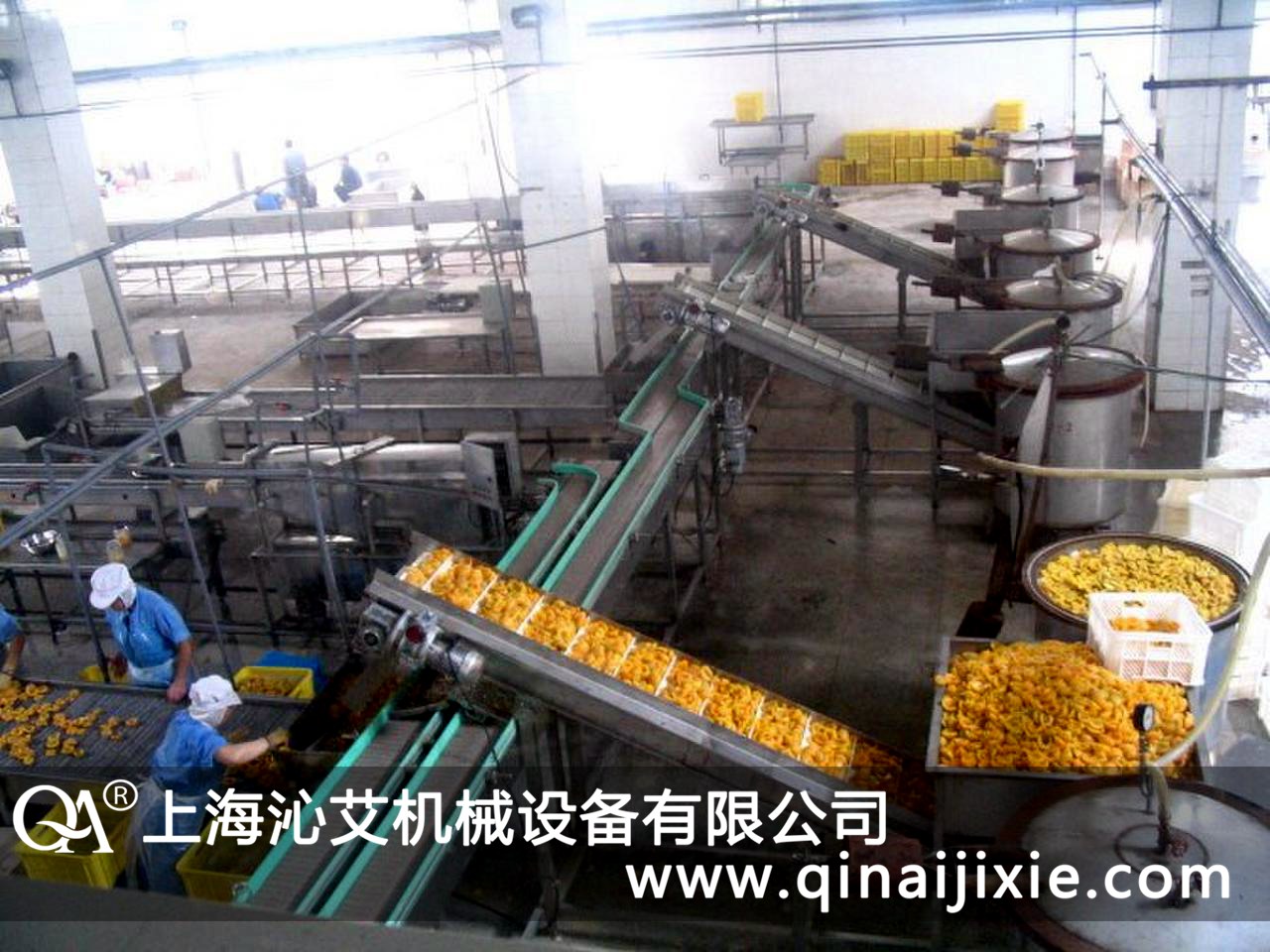 塑鋼鏈板輸送機(jī)在黃桃罐頭食品企業(yè)得到客戶的認(rèn)可 塑鋼鏈板輸送機(jī)在黃桃罐頭食品企業(yè)得到客戶的認(rèn)可
