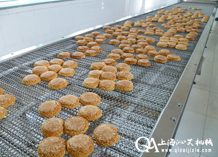 網(wǎng)鏈輸送機(jī)